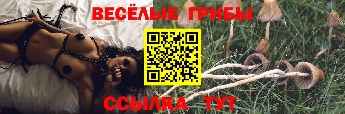 Галлюциногенные грибы мицелий Шатура