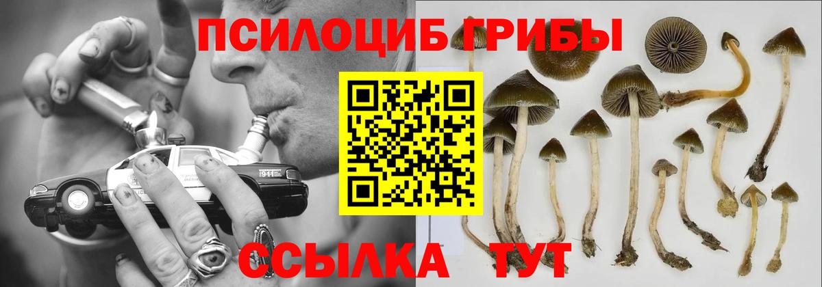 Галлюциногенные грибы прущие грибы  Вход с VPN  цены наркотик  Шатура 